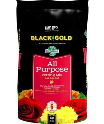 Black Gold