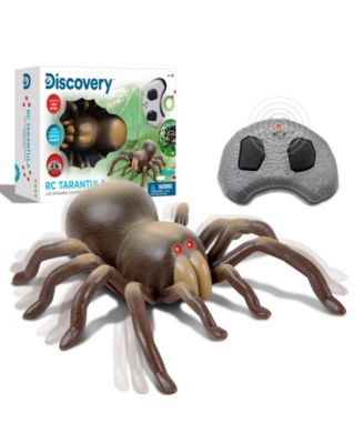 Discovery Kids