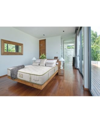 Paramount - Nature Spa Exhale 2.0 13" Plush Mattress-Full