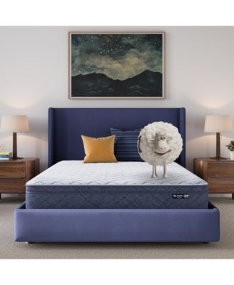 Serta - Dream Haven 10" Plush Pillow Top Mattress in a Box - Queen