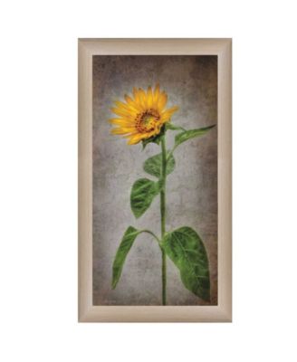Trendy Décor 4U