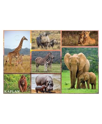 Kaplan Early Learning