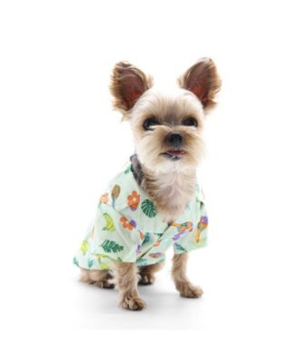 DOGO Pet