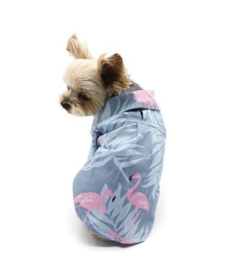 DOGO Pet