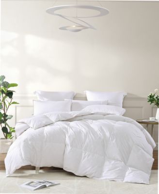 Royal Luxe - All Season Warmth White Goose Feather and Down Fiber Comforter, Twin