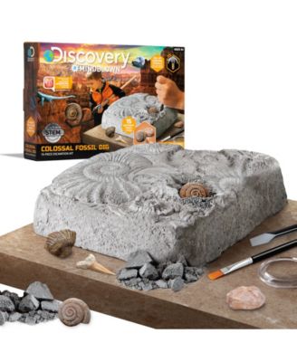 Discovery #MINDBLOWN