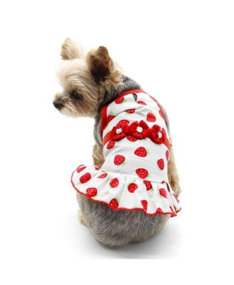 DOGO Pet