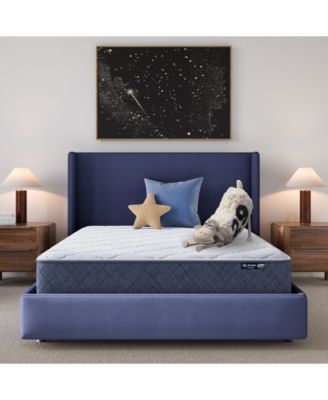 Serta - Dream Haven 10" Medium Tight Top Mattress in a Box - Queen