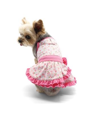 DOGO Pet