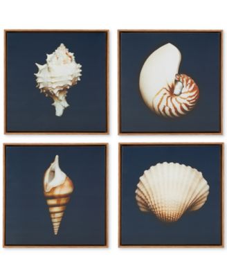Madison Park - Ocean Seashells 4-Pc. Framed Canvas Print Set