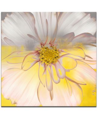 Ready2HangArt - 'Painted Petals XXXIV' Canvas Wall Decor