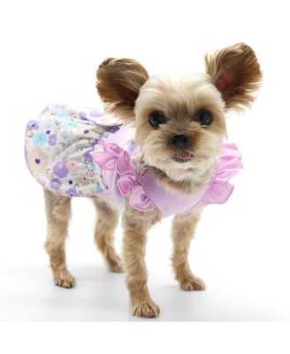 DOGO Pet