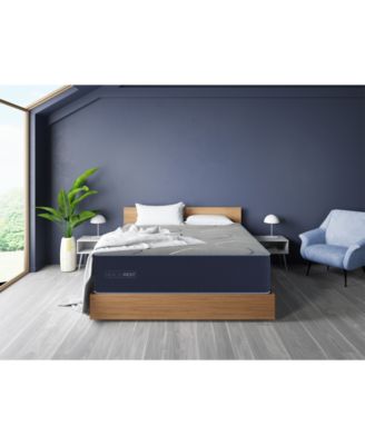 Restonic - HealthRest Bliss 12" Luxury Firm Mattress- Queen
