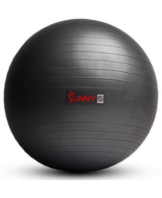 Sunny Health & Fitness