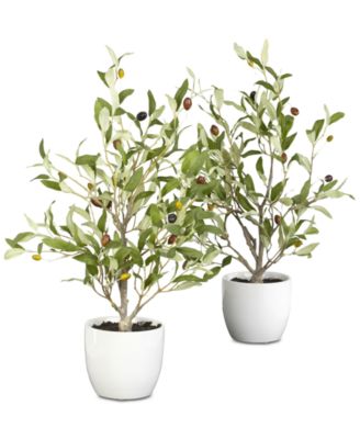 Nearly Natural - 2-Pc. 18" Olive Tree Set with Vases