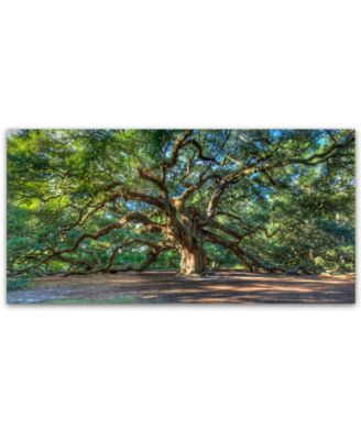 Trademark Global - Pierre Leclerc 'Angel Oak Charleston' 24" x 47" Canvas Wall Art